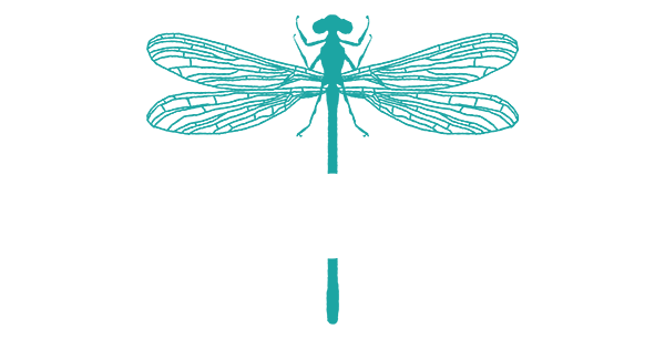 Logos of Damselfly Clothing Company, Wildflower Bozeman, and Jonah & Sage