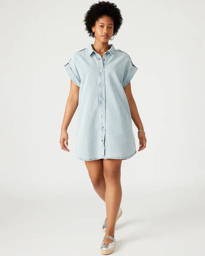 Ilara Denim Dress