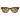 Banks Sunglasses Tort/Green Polarized Lens