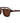Blair 2.0 Tort/Brown Polarized Lens
