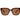 Madi Tortoise/Brown Polarized Lens