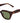 Nova Tort/Green Polarized Lens