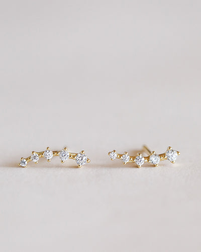 Crawler Earring